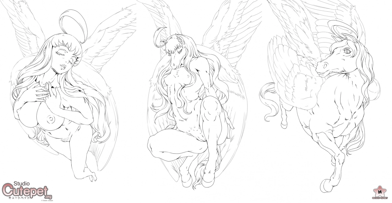 pegasus-transformation-bonus