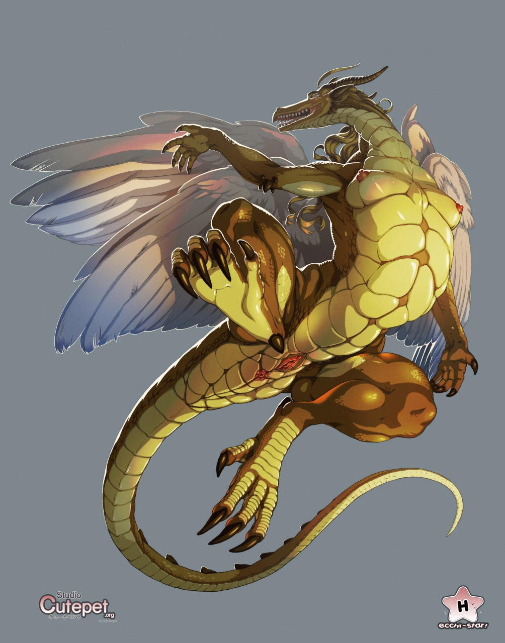 angelissa-dragon-transformation-bonus